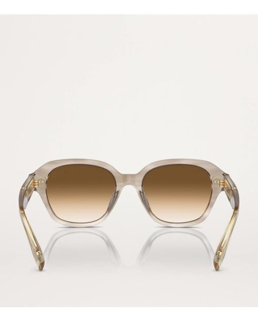 Brunello Cucinelli Brown Acetate Bc4004S Sunglasses