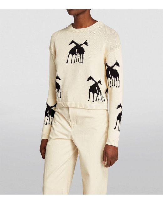 Max Mara White Jacquard Giraffe Sweater