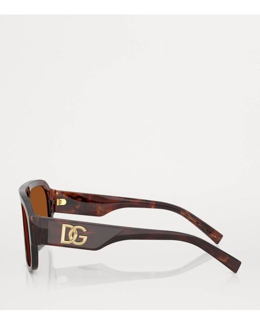 Dolce & Gabbana Brown Acetate Pilot Sunglasses for men