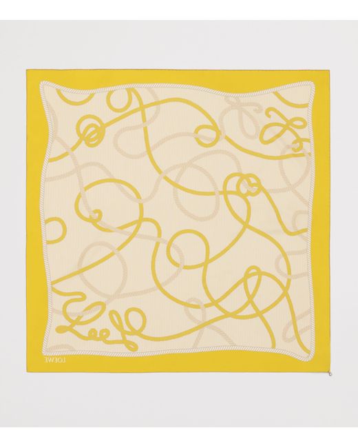 Loewe Natural Silk Twill Scarf