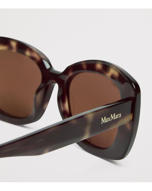 Max Mara Brown Oversized Oval Sunglasses