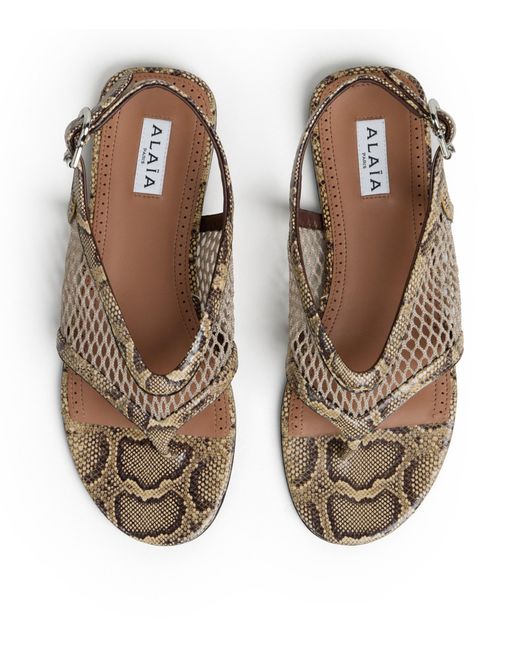 Alaïa White Python-Effect Thong Sandals