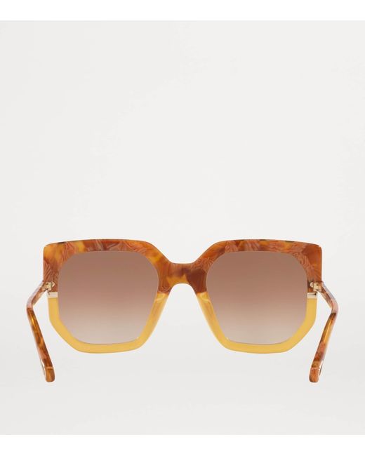 Chloé Brown Acetate Ch0240S Sunglasses