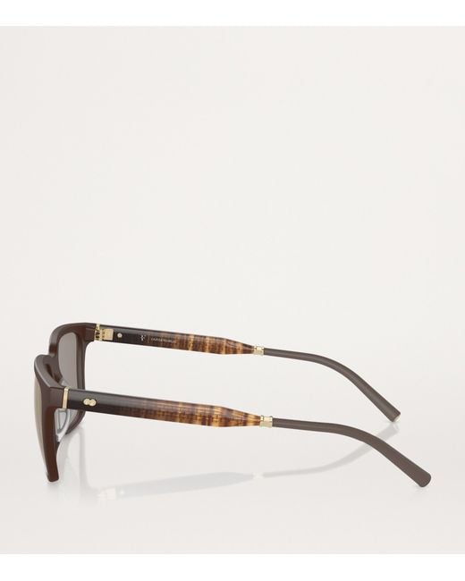 Oliver Peoples Brown Bio-Nylon Mr. Federer Sunglasses for men