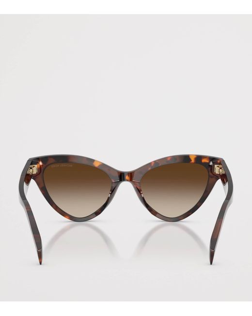 Michael Kors Brown Roanoke Cat Eye Sunglasses