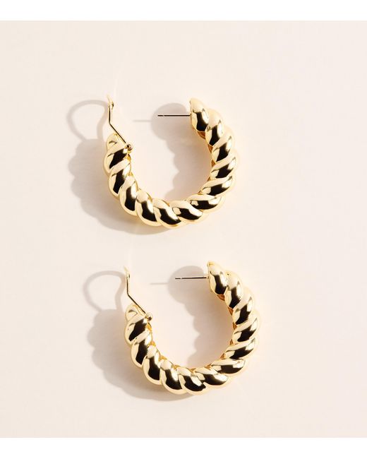 Eddie Borgo Metallic Plated Torsade Hoop Earrings