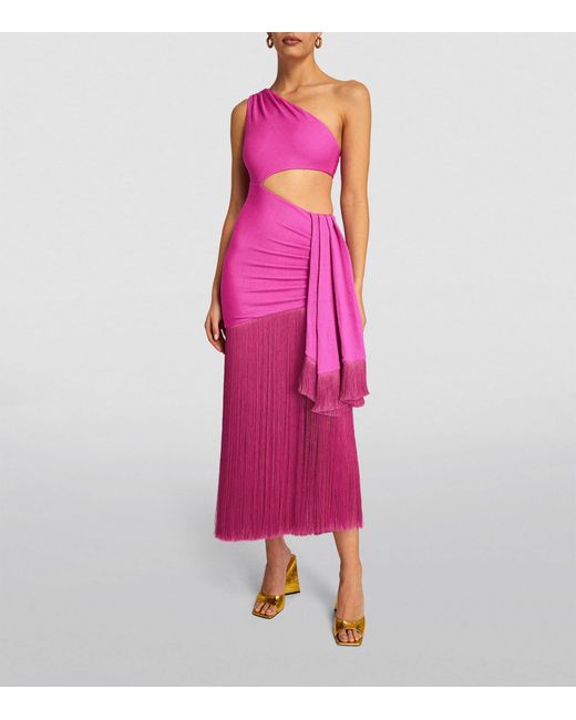 PATBO Pink Fringed Maxi Dress