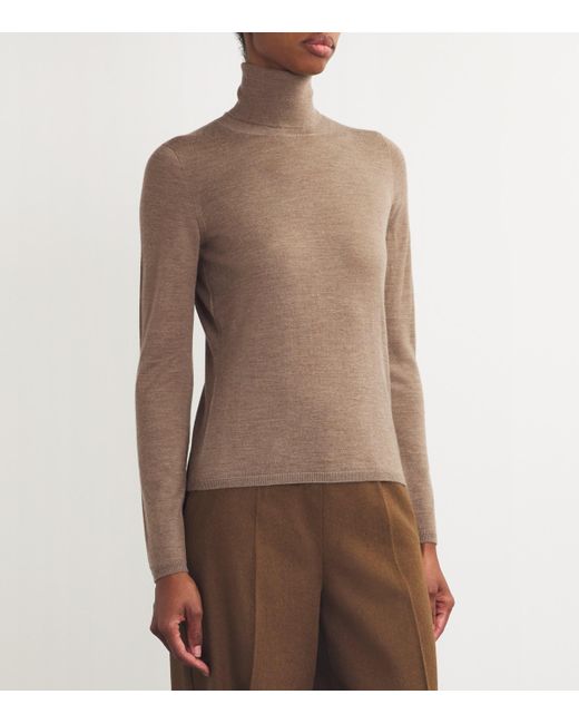 Max Mara Brown Cashmere Rollneck Sweater