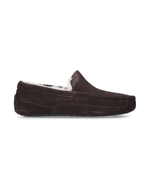 Ugg Green Ascot Slipper for men