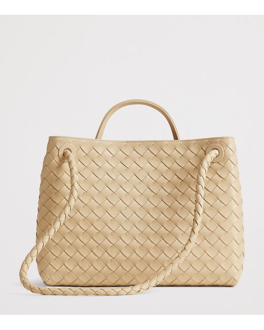 Bottega Veneta Metallic Medium Leather Andiamo Shoulder Bag