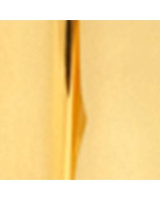 Alaïa Metallic Small Edge Earrings