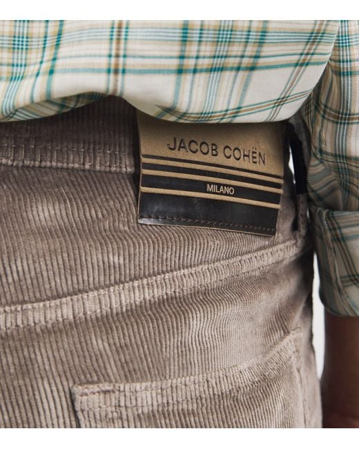 Jacob Cohen Gray Corduroy Edo Straight-Fit Chinos for men