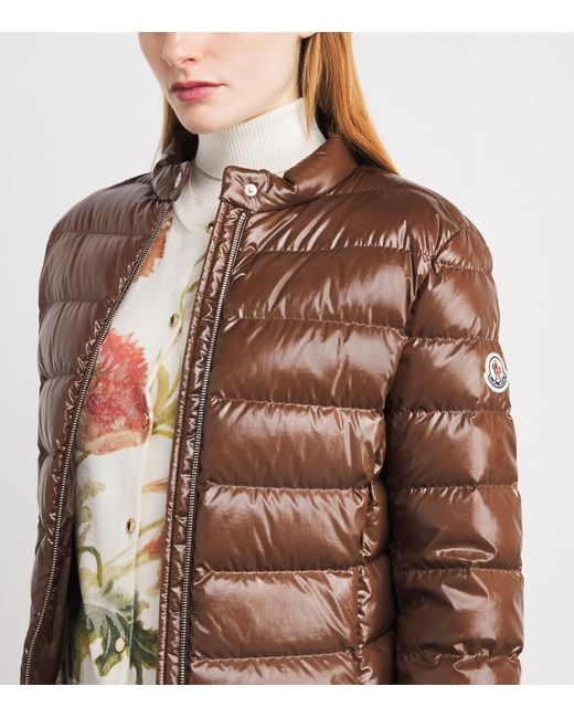 Moncler Brown Down Papillon Puffer Jacket