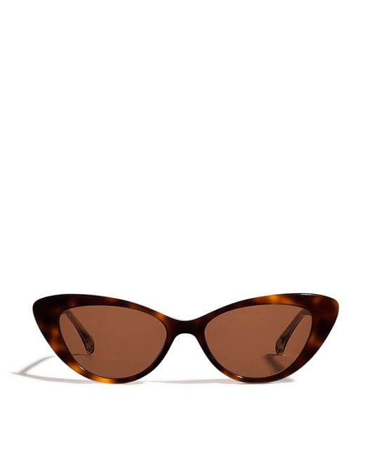 Maje Brown Acetate Cat Eye Sunglasses