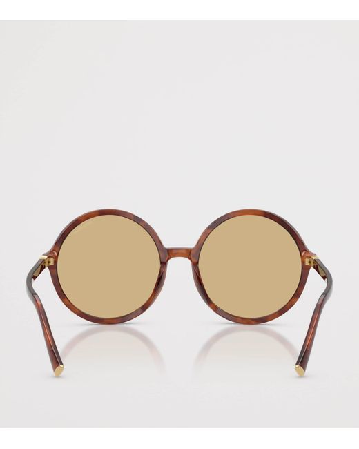 Miu Miu Brown Acetate Oversized Round Sunglasses