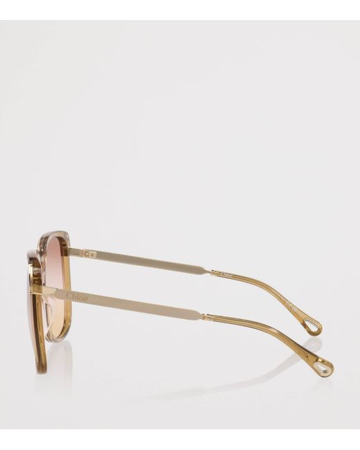Chloé Brown Acetate Ch0286S Rectangle Sunglasses