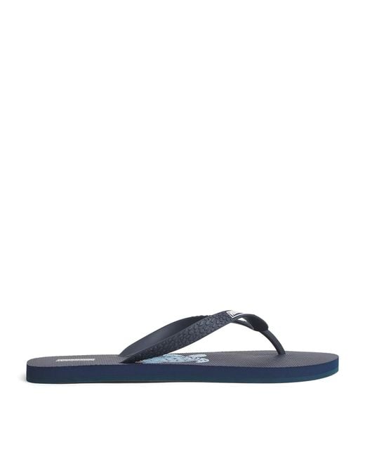 Vilebrequin Blue Turtle Flip Flops for men