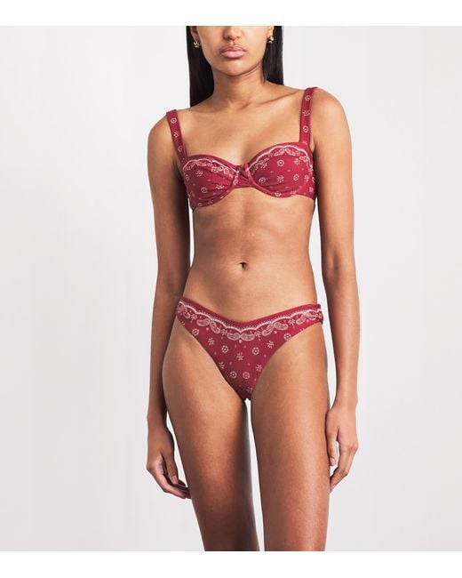 Harrods Red Bandana Larissa Bikini Briefs