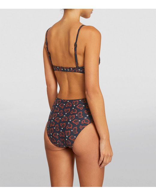 Matteau Brown Casablanca Print High-waist Bikini Briefs