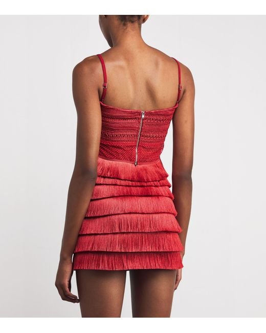 PATBO Red Fringed Radiant Crop Top