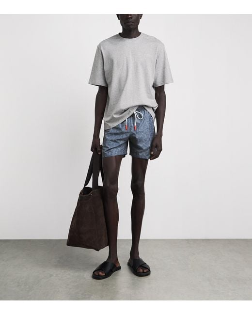 Isaia Blue Printed Swim Shorts for men