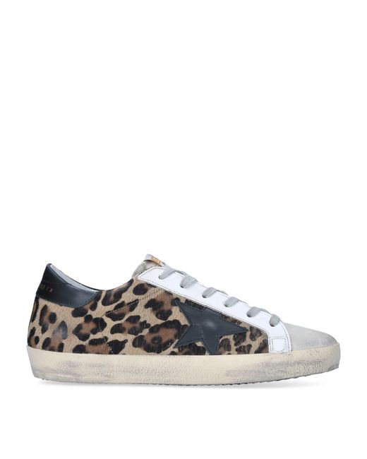 Golden Goose Deluxe Brand Brown Leather Leopard Print Superstar Sneakers