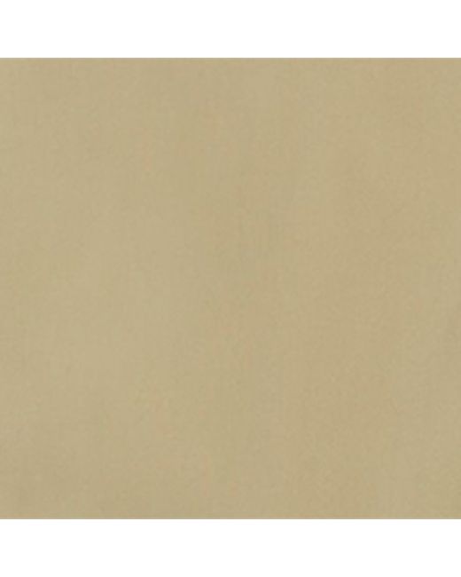 Burberry Natural Cotton Poplin Shirt for men