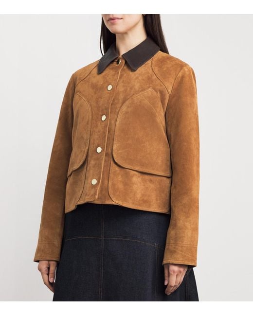 Veronica Beard Brown Cropped Whiskey Walters Barn Jacket