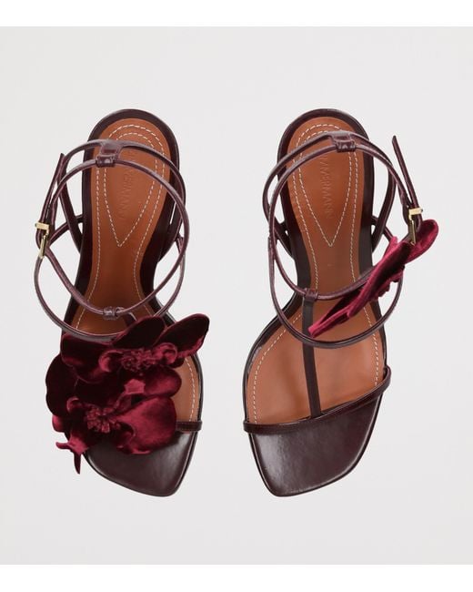 Zimmermann Brown Leather Orchid Heeled Sandals 85