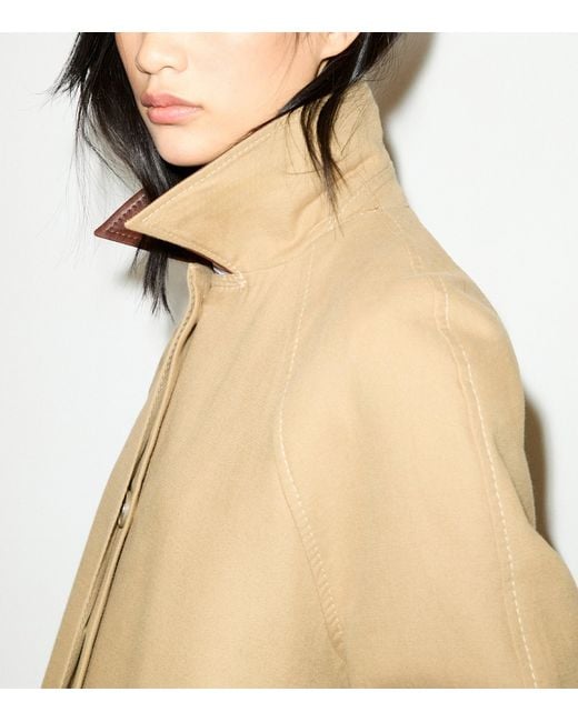 MAX&Co. Natural Contrast-Collar Raincoat