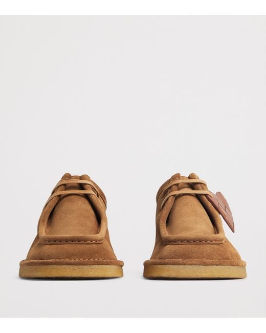 Bottega Veneta Brown Suede Daddy Derby Shoes for men