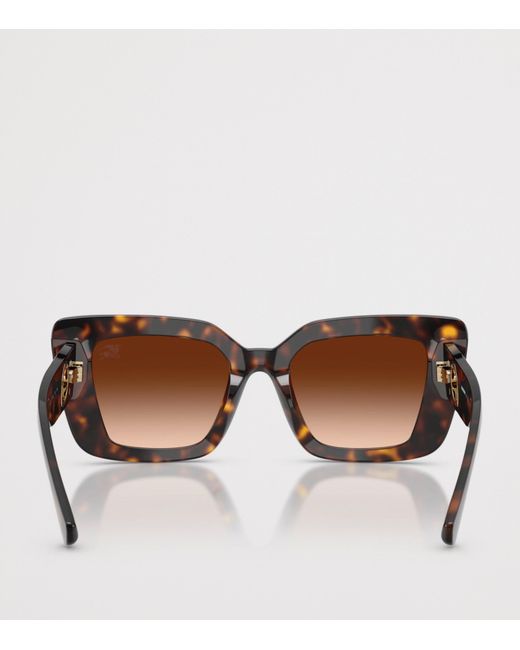Burberry Brown Oversized Cat Eye Sunglasses