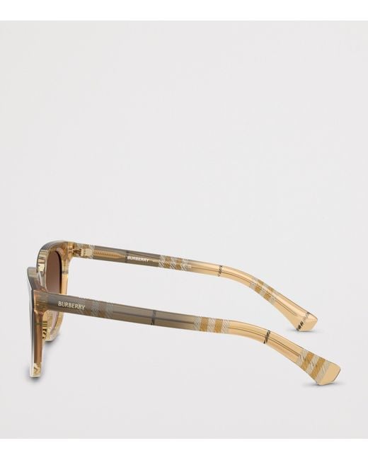 Burberry Brown Acetate Be4469 Phantos Sunglasses