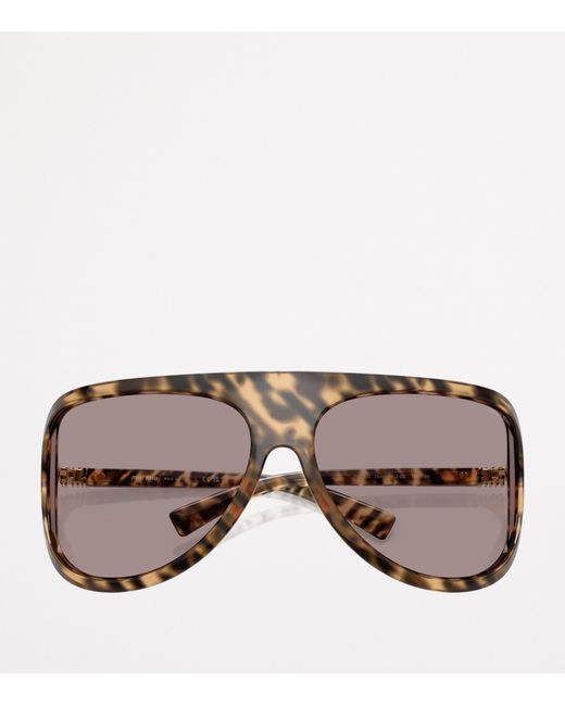 Miu Miu Brown Injected Aviator Sunglasses