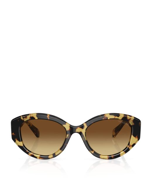Swarovski Brown Oval Sk6005 Sunglasses