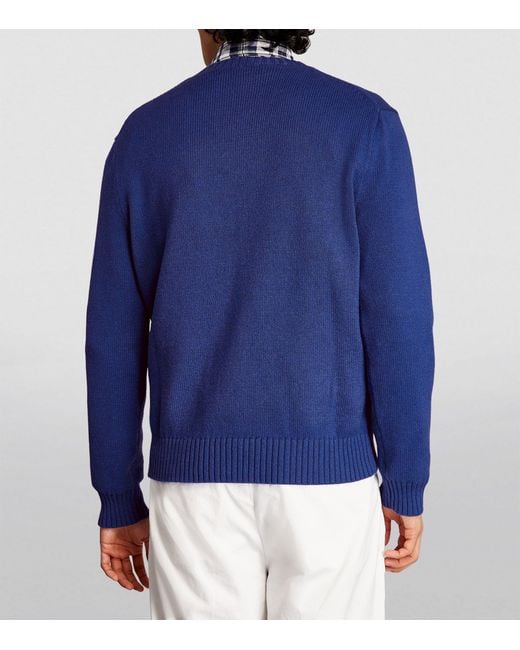 Polo Ralph Lauren Blue Polo Beach Bear Sweater for men