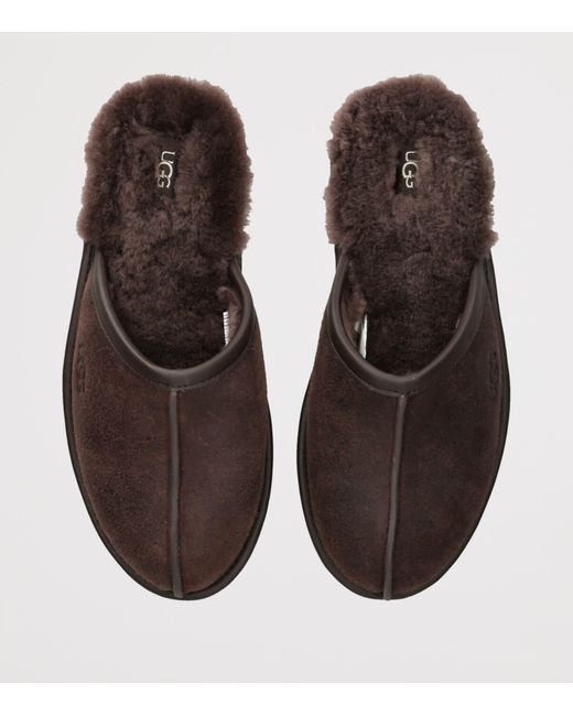 Ugg Brown Suede Scuff Slippers for men