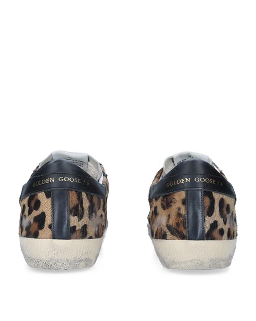 Golden Goose Deluxe Brand Brown Leather Leopard Print Superstar Sneakers