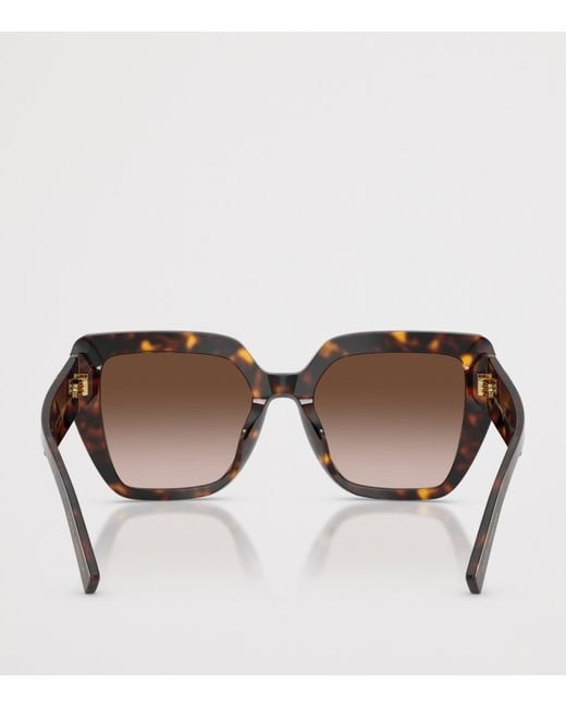 Dolce & Gabbana Brown Tortoise Square Cat-Eye Sunglasses