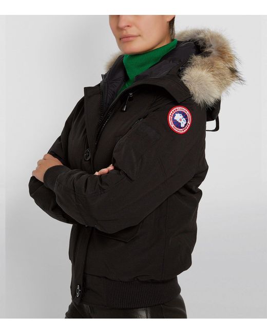 Canada Goose Black Chilliwack Fur Hood Bomber Jacket