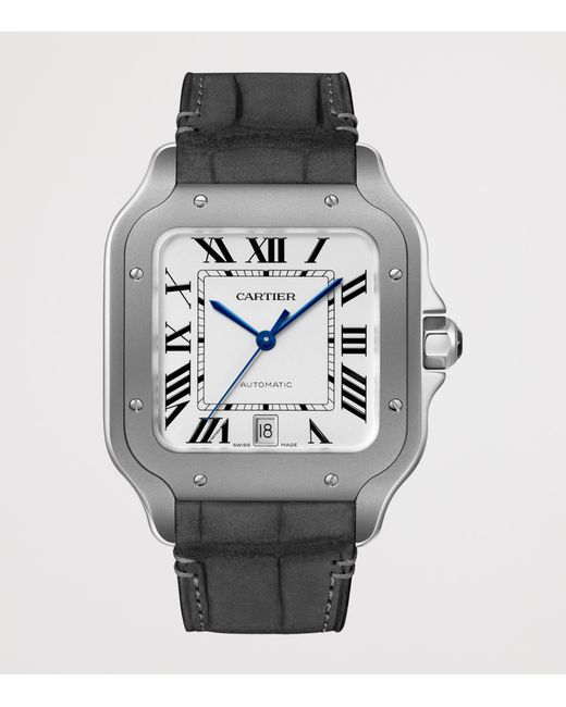 Cartier Gray Large Titanium Santos De Watch for men