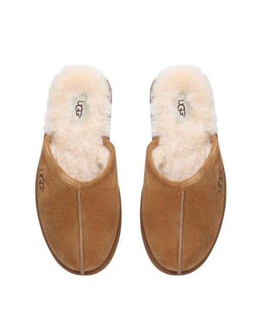 Ugg Brown Suede Scuff Slippers for men