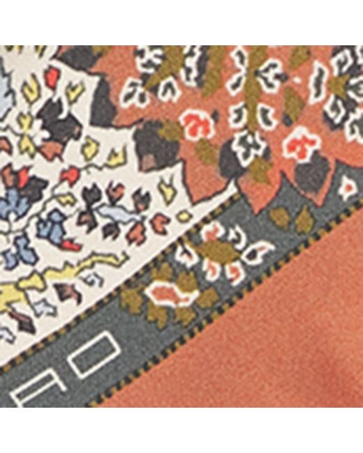 Etro Brown Silk Leopard Scarf