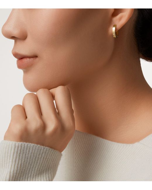 Cartier Metallic Love Double Hoop Earrings