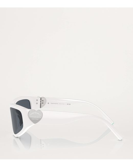 Tiffany & Co Gray Acetate Oval Sunglasses