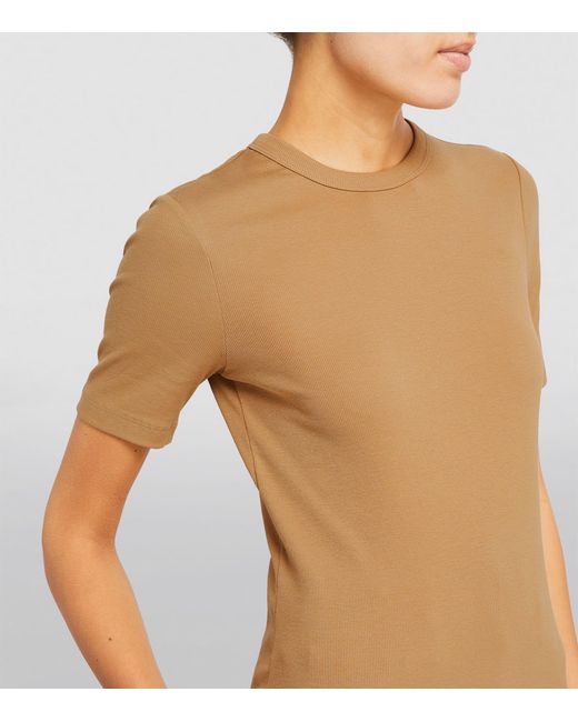 Totême  Brown Stretch-cotton Ribbed T-shirt