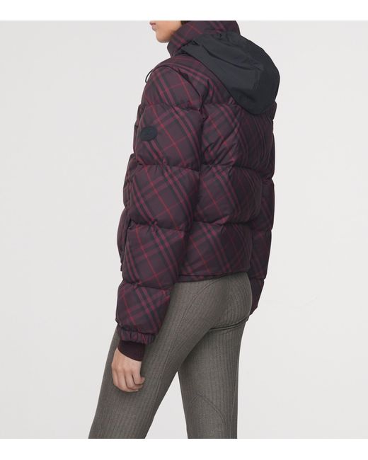 Burberry Purple Check Print Puffer Jacket