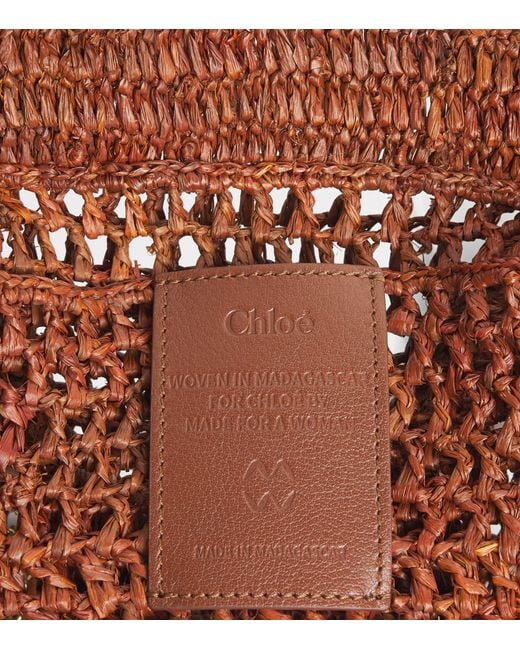 Chloé Brown Small Raffia Summer Banana East-West Tote Bag