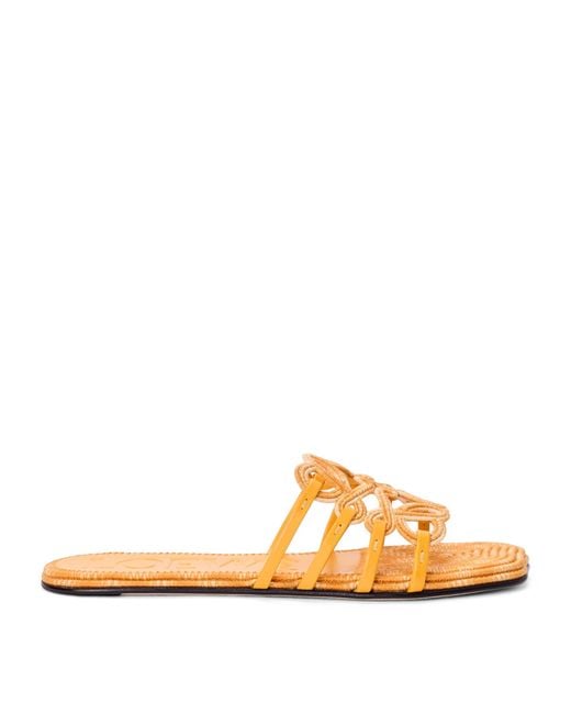 Loewe Orange X Paula's Ibiza Leather Embroidered Petal Anagram Slides