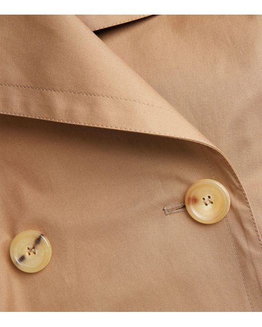 Max Mara Brown Belted Trench Coat